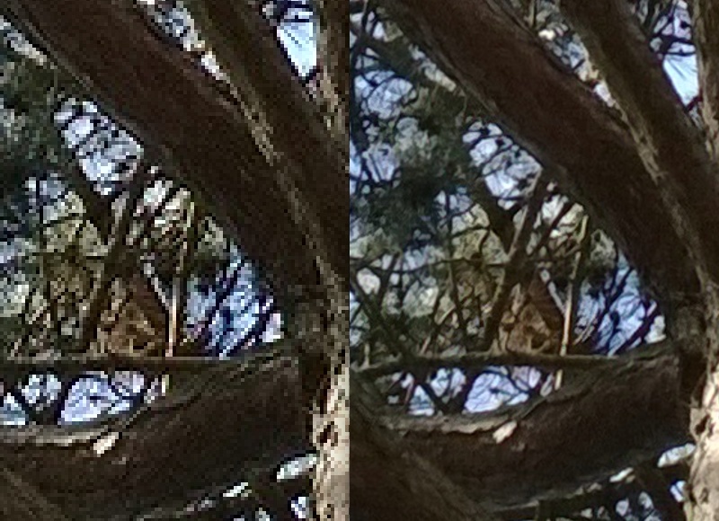 Digital zoom/crop vs PureView zoom/crop